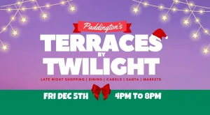 Terraces by Twilight